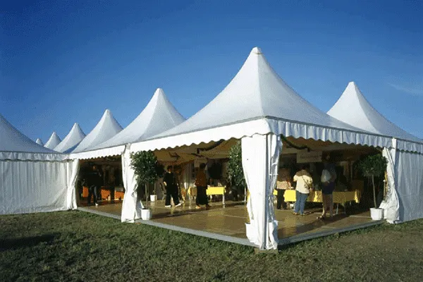 Apa Itu Bahan Sarnafil dan Mengapa Banyak Digunakan?