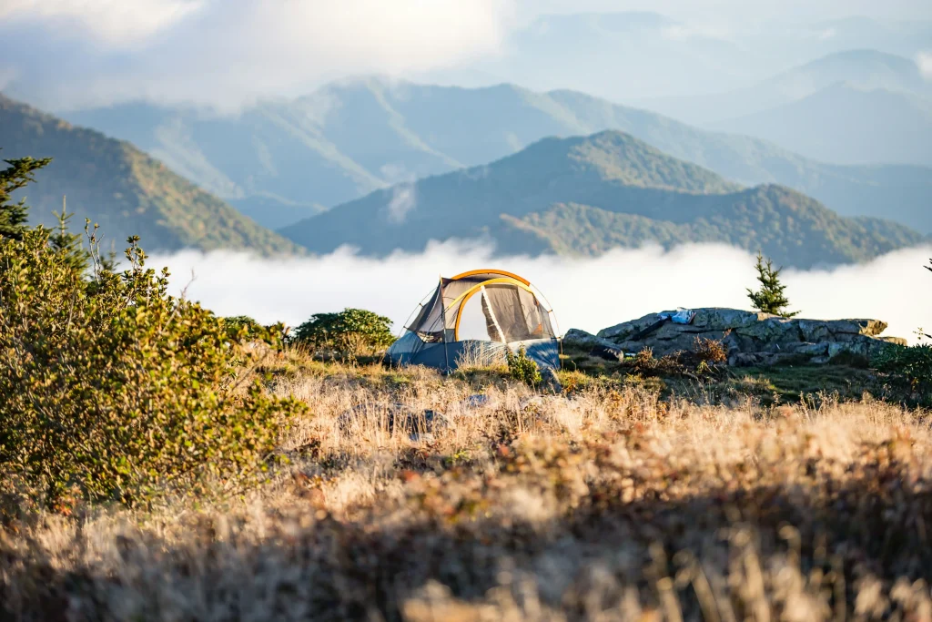 Tenda Camping Custom untuk Komunitas dan Brand: Apa yang Bisa Disesuaikan?